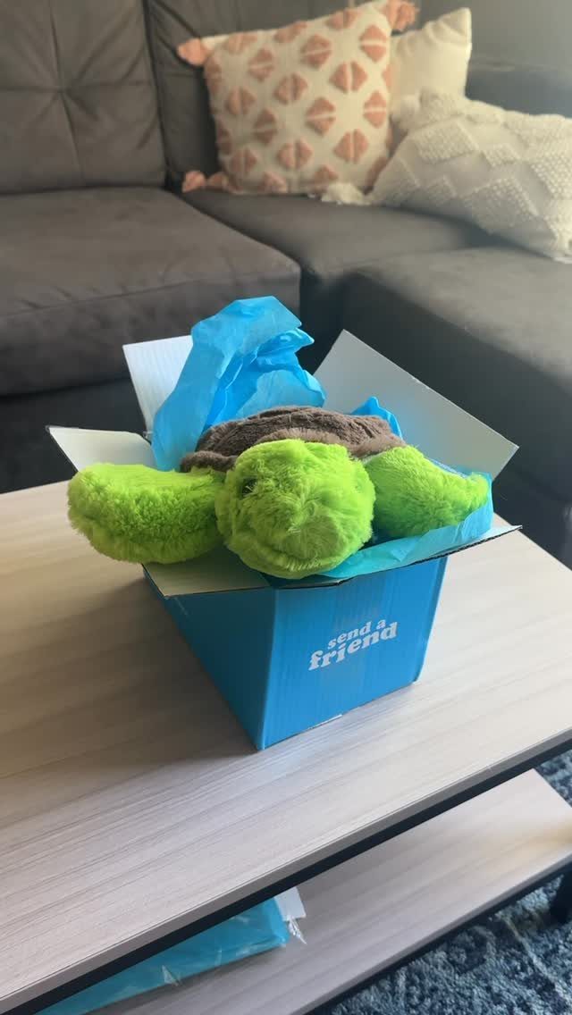 Green plush turtle toy inside a blue gift box on a white table.