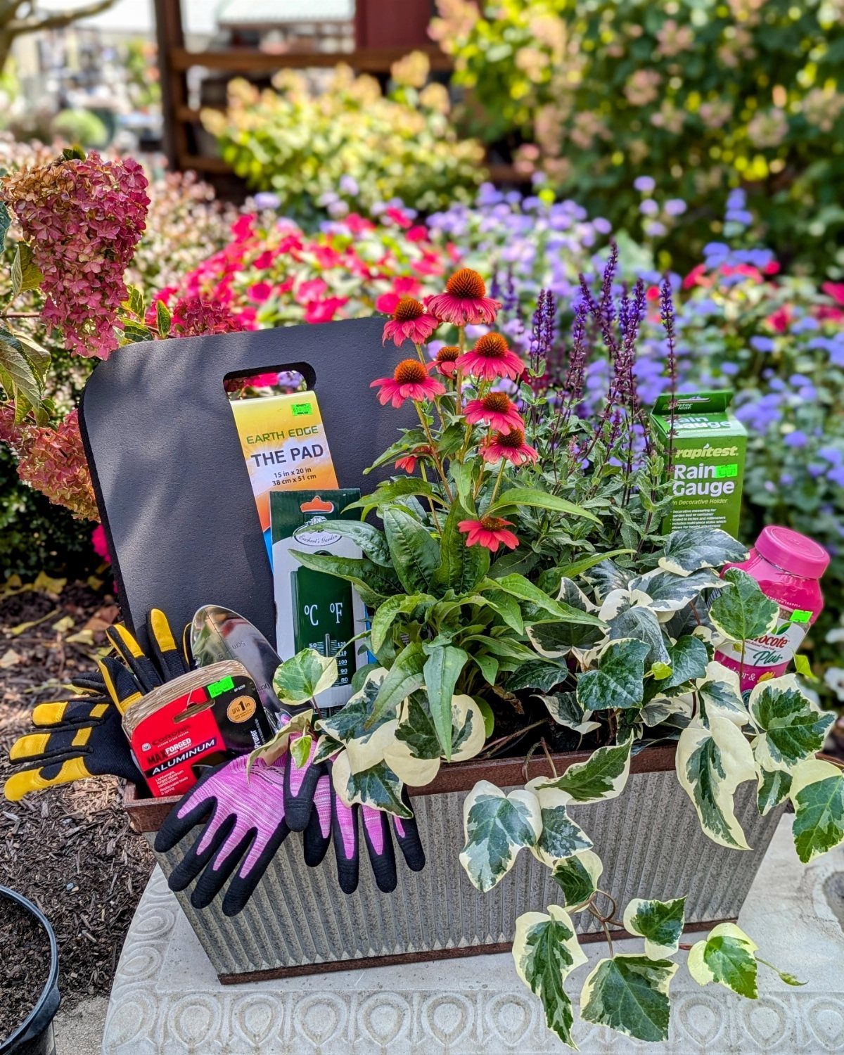 Gardening gift basket in a metal planter with gloves, tools, and flowers.