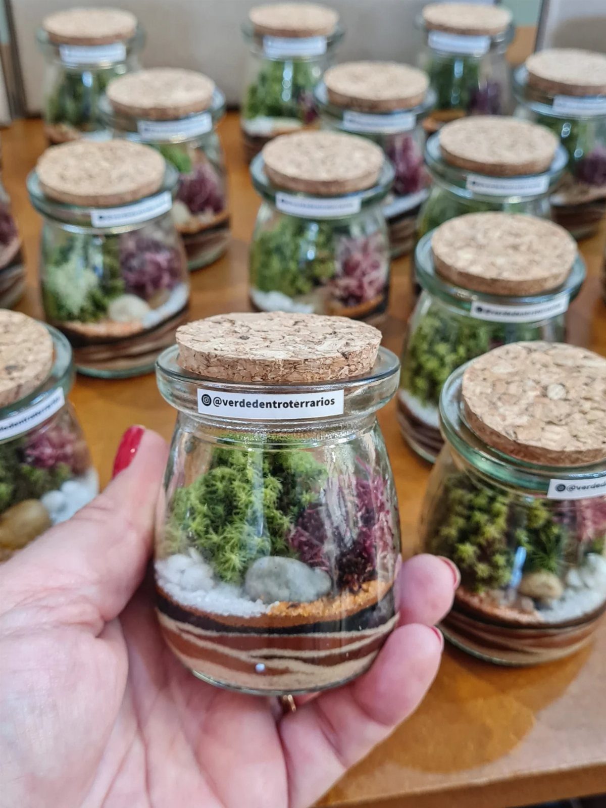 Small glass terrarium jar with cork lid containing layered soil and mini succulents.