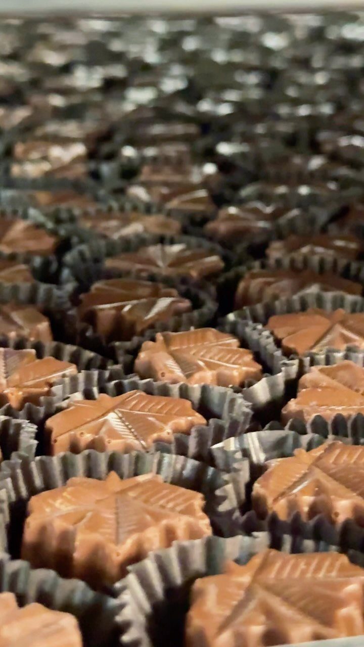 Maple leaf shaped chocolate truffles in grey paper liners arranged in rows.