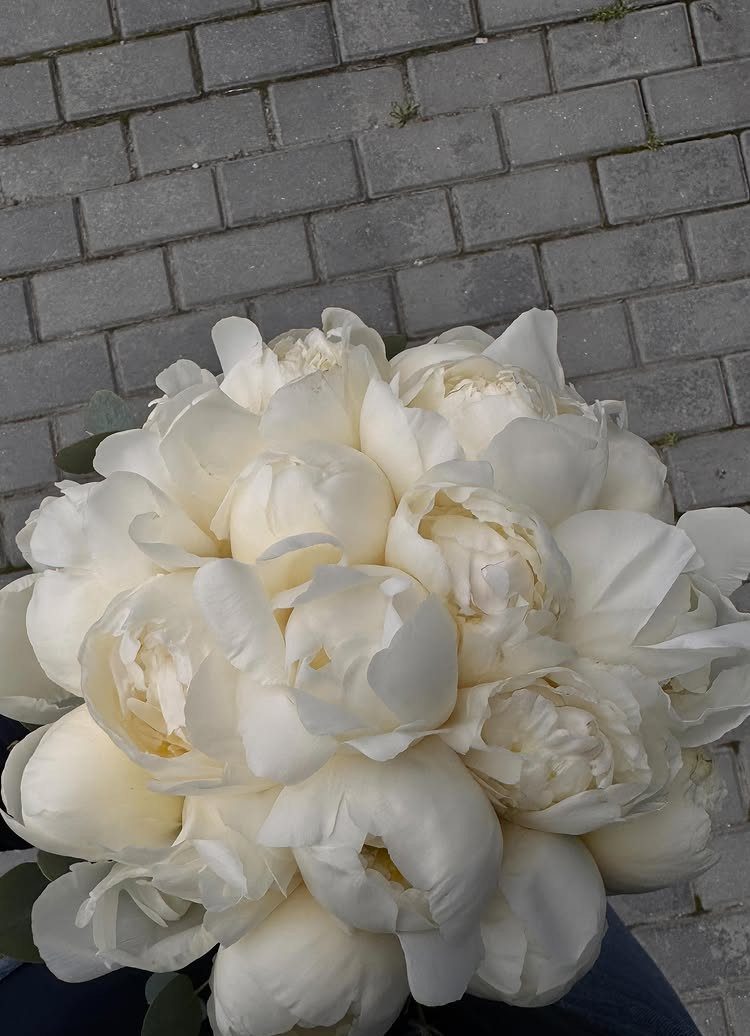 White peony bouquet held against a grey brick pavement background.