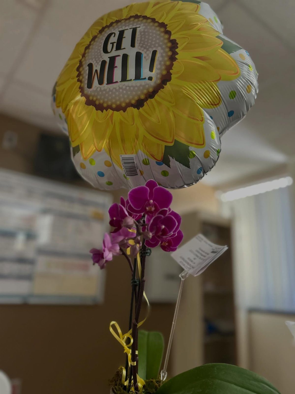 Sunflower get well balloon and purple orchid flowers in an indoor setting