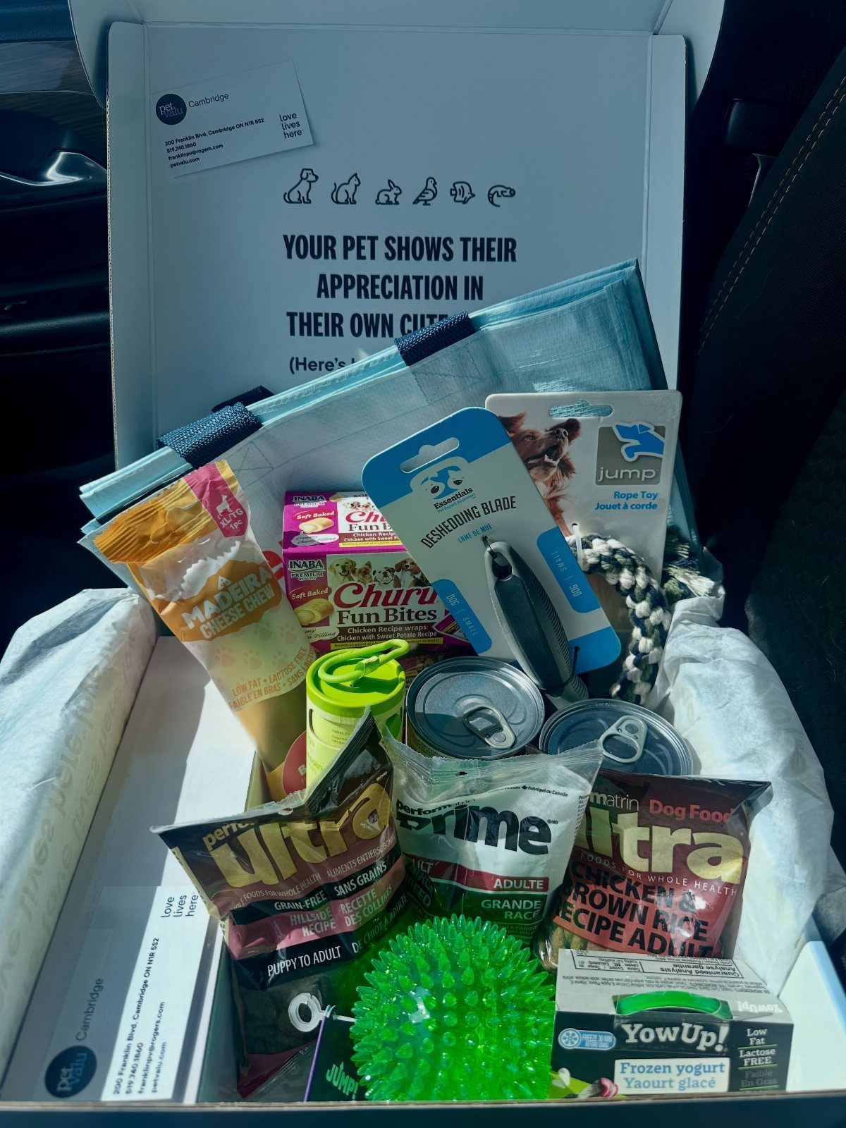Pet gift basket in a white box containing dog food, treats, and toys.