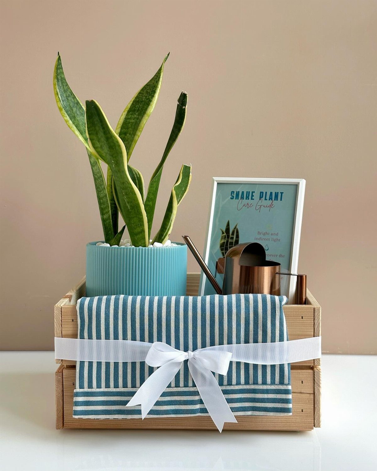 Gardening gift basket in a wooden crate with a snake plant and watering can