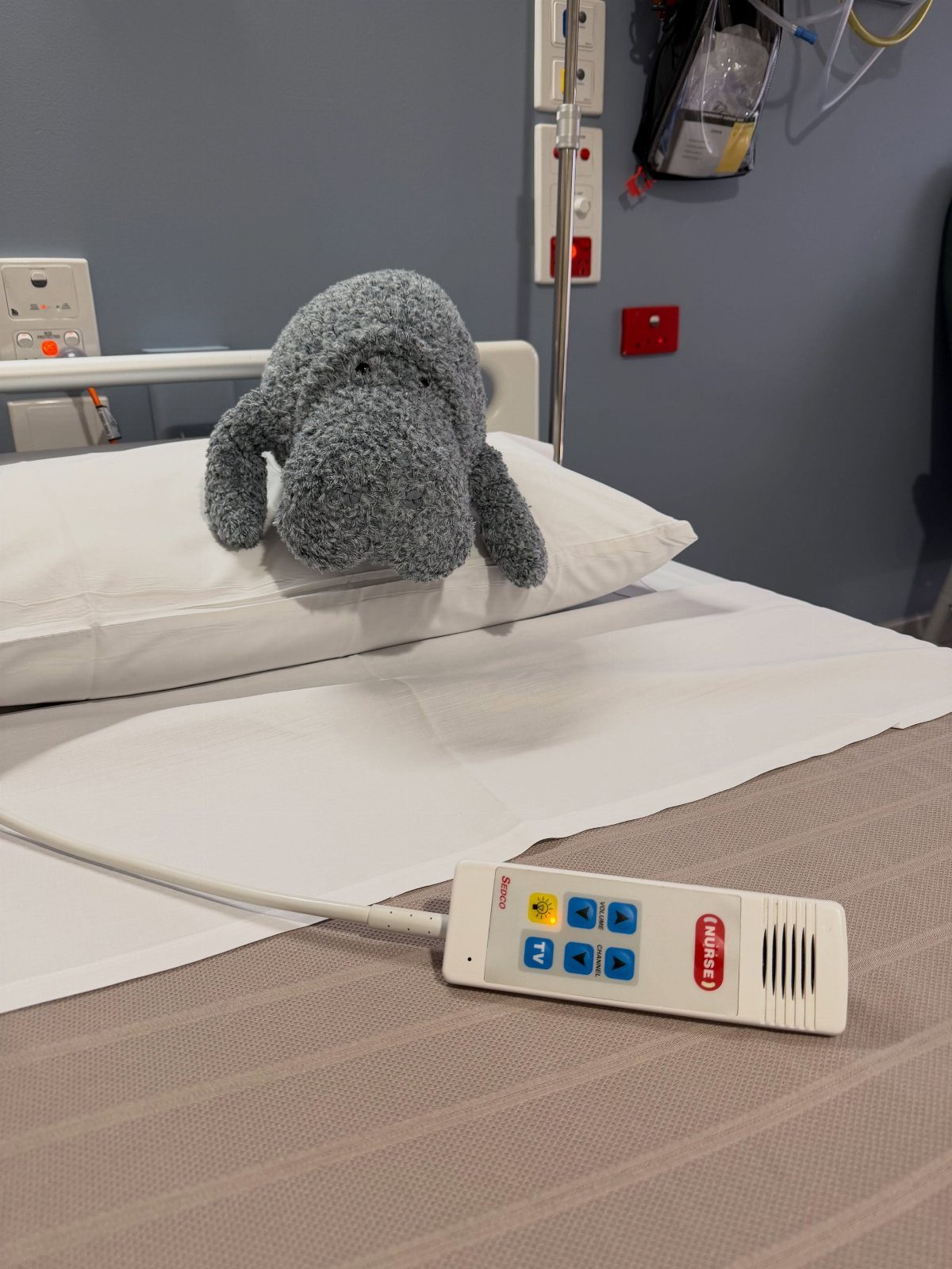 Grey plush stuffed animal sitting on a white pillow in a hospital bed