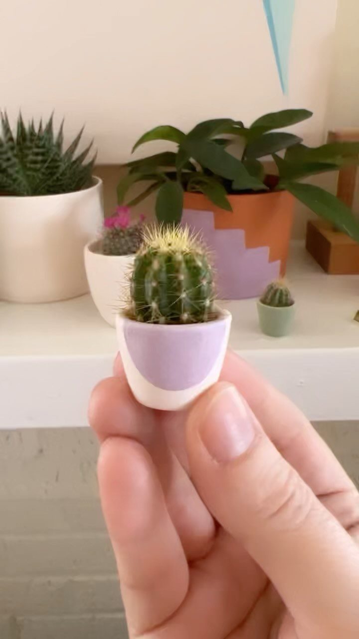 Tiny cactus in a purple pot held by a hand against other plants.