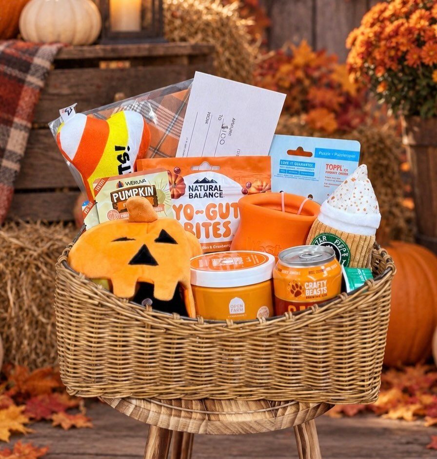 Wicker gift basket filled with pet treats and pumpkin toys in autumn setting