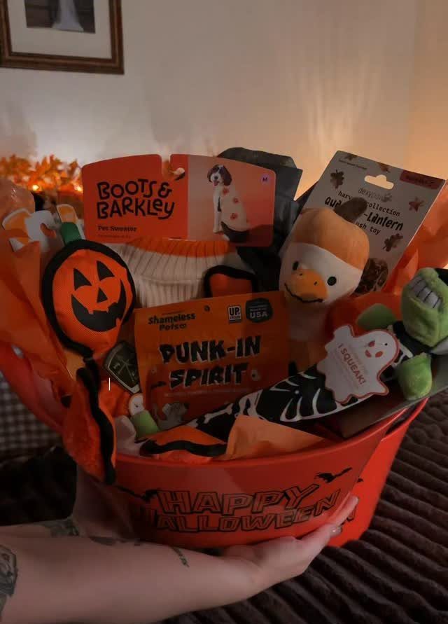 Halloween bucket filled with dog toys, treats, and a pet store gift card.